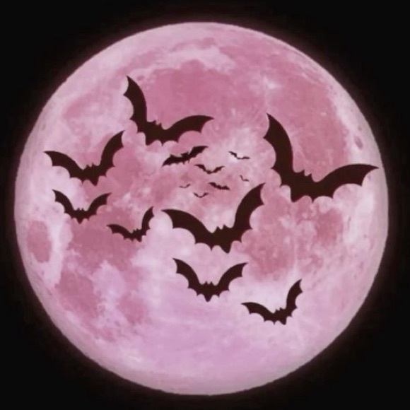 Meet your Posher, Lauren - Picture 1 of 1